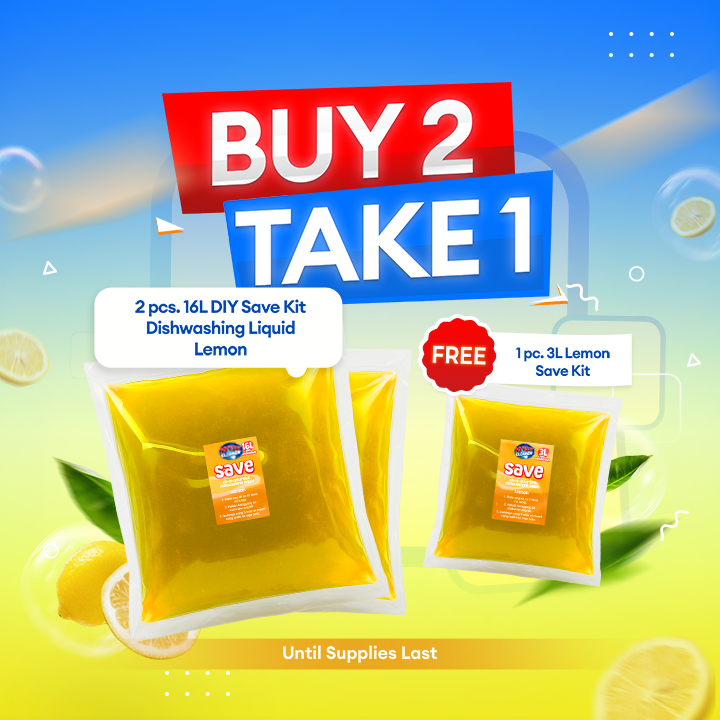 Buy 2 Take 1 Dishwashing Kit Promo — Wise Cleaner DIY Kit