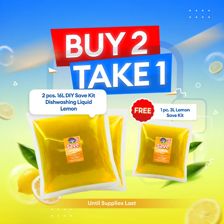 Buy 2 Take 1 Dishwashing Kit Promo — Wise Cleaner DIY Kit